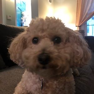 Meet your Posher, Kasey